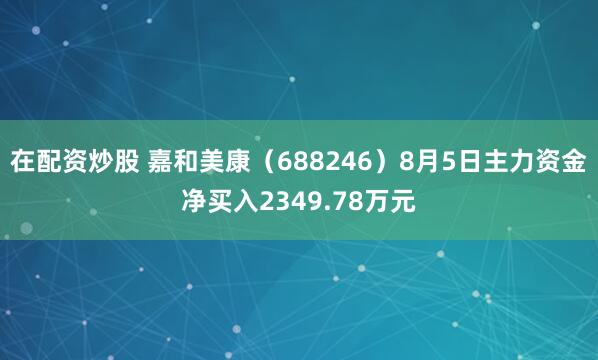 在配资炒股 嘉和美康（688246）8月5日主力资金净买入2349.78万元