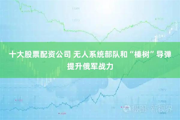 十大股票配资公司 无人系统部队和“榛树”导弹提升俄军战力