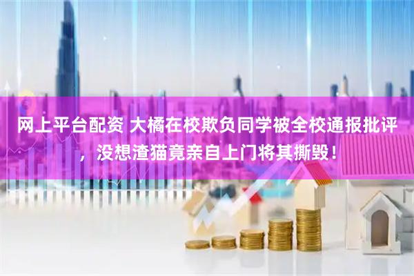 网上平台配资 大橘在校欺负同学被全校通报批评，没想渣猫竟亲自上门将其撕毁！